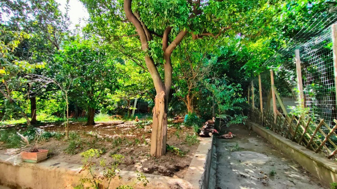 Casa Vacanza "Nonna Matilde" A Meta Di Sorrento, 600Mt Dal Mare, Casa Per 4 Exterior foto